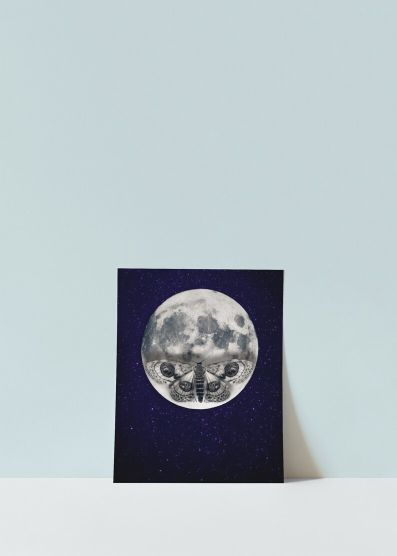 May include: A black and white illustration of a moth superimposed on a full moon against a dark blue background with white stars.