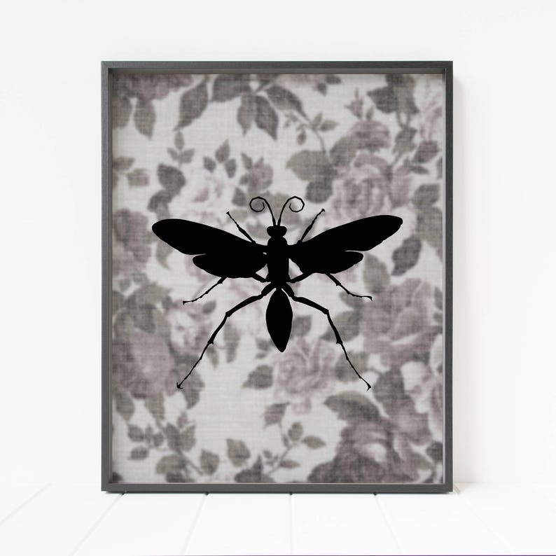 insect print, bug printable artwork, wings print, insect wall artwork, bug wall artwork, mother nature print, floral print, science themed artwork, insect poster image relating to Bug Printable known as insect print, bug printable artwork, wings print, insect wall artwork, bug wall artwork, mother nature print, floral print, science themed artwork, insect poster