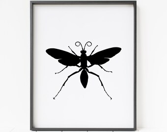 insect wall art, bug print, insect print, bug wall decor, entomology art, bug nursery decor