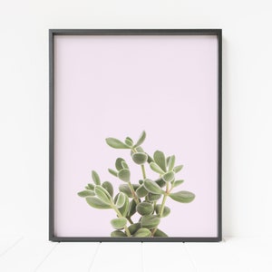 succulent print, succulent decor, cactus wall art, pink decor, botanical print