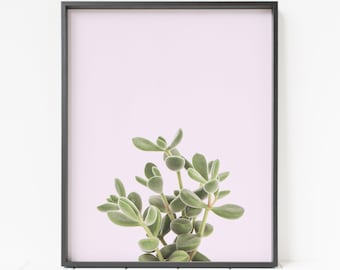 succulent print, succulent decor, cactus wall art, pink decor, botanical print
