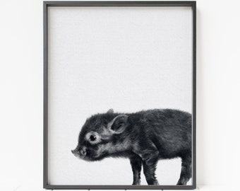 pig print, piglet print, baby animal print, black and white animal portrait, printable nursery wall art