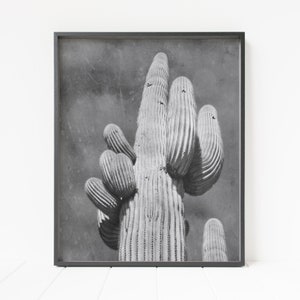 cactus print, saguaro cactus, desert photograph, desert decor, cactus wall art