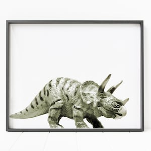 May include: A black and white photo of a green dinosaur, a Triceratops, in a grey frame.