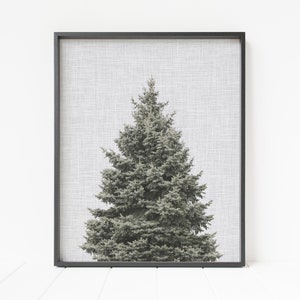 Christmas Tree Print, holiday tree, evergreen tree print, tree wall art, Christmas tree decor