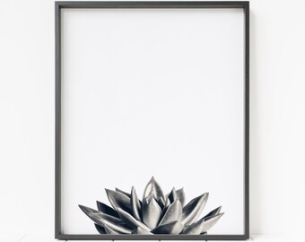 succulent print, succulent decor, botanical print, black and white succulent, cactus wall art