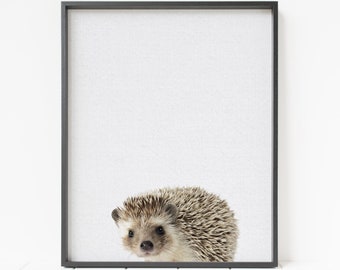 hedgehog print, hedgehog wall art, animal nursery art, woodland decor