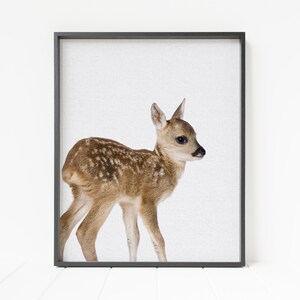 deer print, baby deer wall art, nursery decor, color deer wall decor, woodland nursery decor