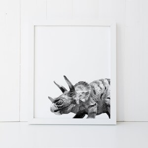 Puede incluir: Fotograf&iacute;a en blanco y negro de la cabeza y el cuello de un dinosaurio Triceratops. El dinosaurio est&aacute; mirando hacia el lado izquierdo de la imagen.