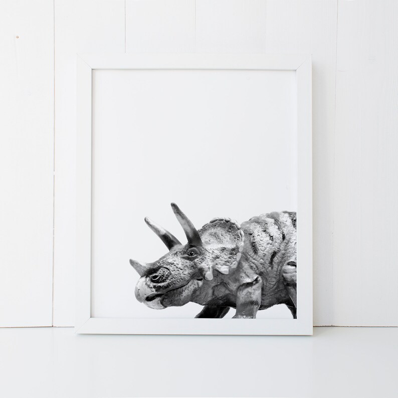 Puede incluir: Fotograf&iacute;a en blanco y negro de la cabeza y el cuello de un dinosaurio Triceratops. El dinosaurio est&aacute; mirando hacia el lado izquierdo de la imagen.