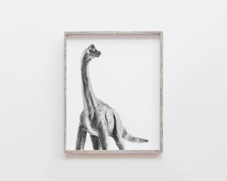Dinosaur Wall Decor Dinosaur Wall Art Dinosaur Print Etsy