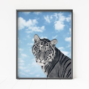 tiger wall decor, printable tiger, clouds and sky print, nursery decor, animal wall art