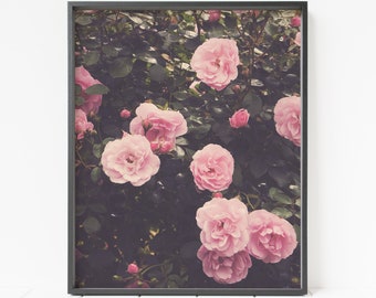 rose print, floral wall decor, flower wall art, pink rose decor, bedroom wall art