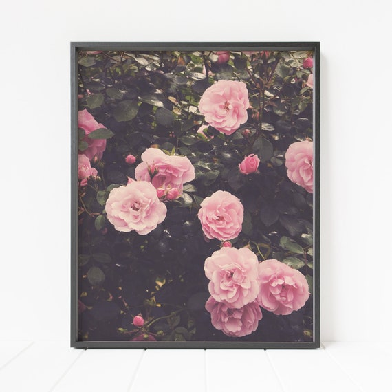 Rose Print Floral Wall Decor Flower Wall Art Pink Rose | Etsy