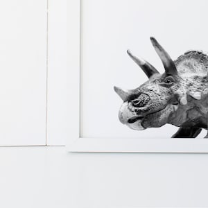 Puede incluir: Fotograf&iacute;a en blanco y negro de la cabeza de un dinosaurio, mostrando el perfil lateral de un Triceratops con sus cuernos y volante.