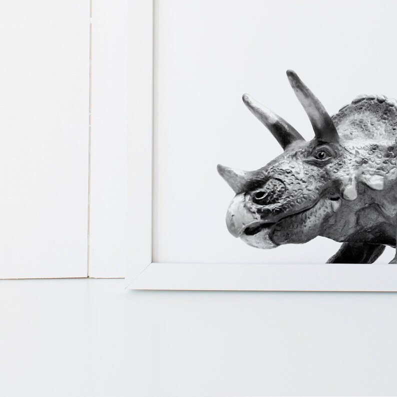 Puede incluir: Fotograf&iacute;a en blanco y negro de la cabeza de un dinosaurio, mostrando el perfil lateral de un Triceratops con sus cuernos y volante.