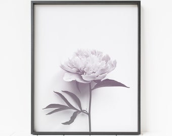 peony print, flower print, peony wall decor, floral wall art, minimalist floral decor