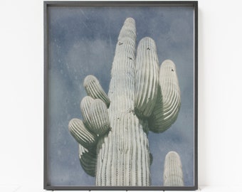 stampa di cactus saguaro, stampa vintage del deserto, decorazioni del deserto, decorazioni di cactus, arte murale del sud-ovest