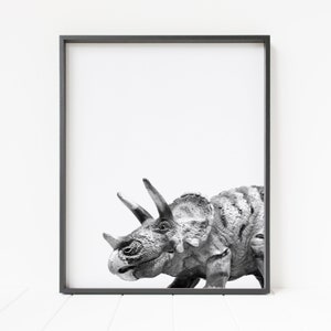 Puede incluir: Fotograf&iacute;a en blanco y negro de un dinosaurio Triceratops en un marco negro simple.