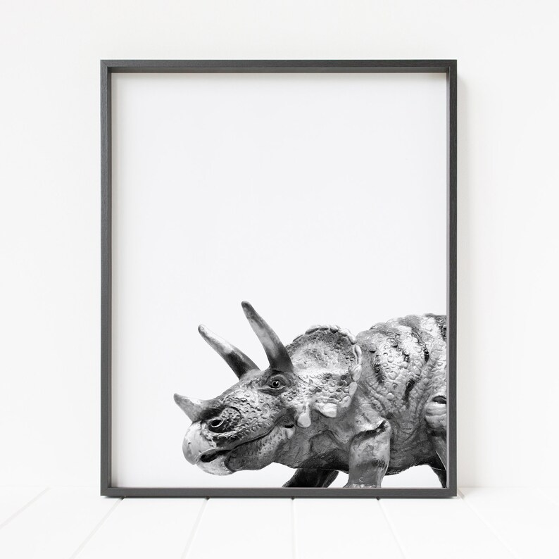 Puede incluir: Fotograf&iacute;a en blanco y negro de un dinosaurio Triceratops en un marco negro simple.