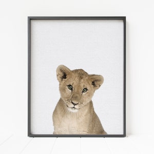 lion print, lion cub, COLOR lion wall art, lion nursery decor, printable baby lion