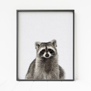 raccoon print, woodland animal print, woodland nursery art, raccoon decor