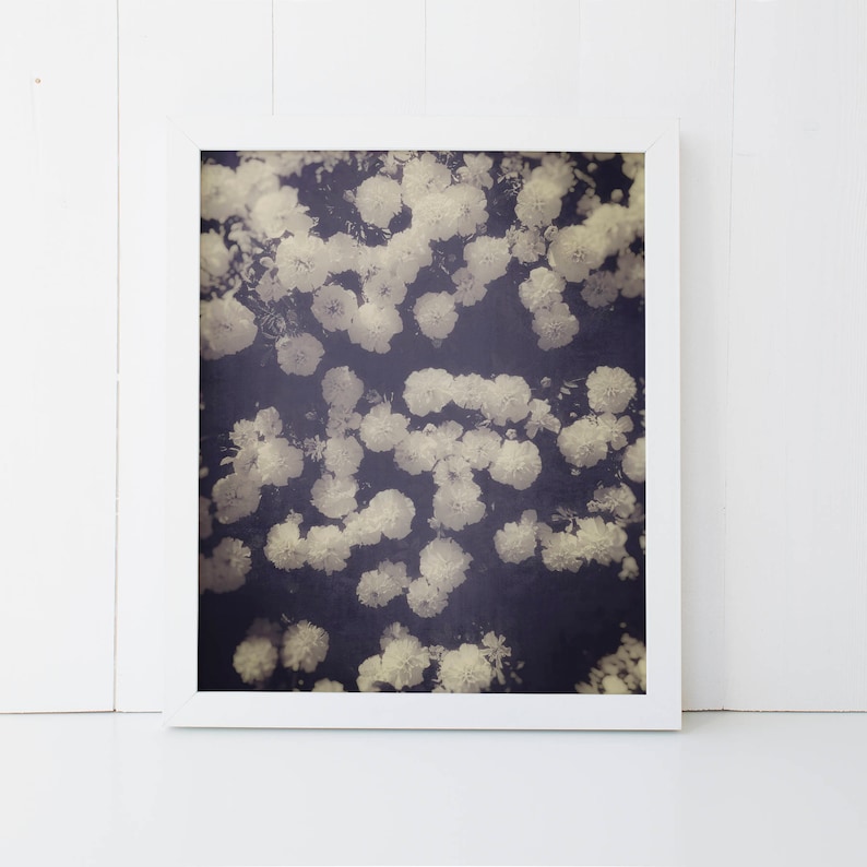 flowers print, black and white vintage floral decor, floral wall art, flower print image 5