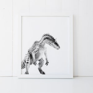 May include: Black and white photograph of a dinosaur in a white frame. The dinosaur is standing on a white background.