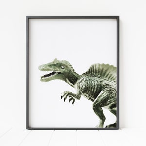 May include: A framed print of a green dinosaur with a spiky back, against a white background.