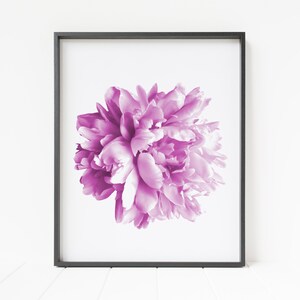 flower print, pink peony print, flower decor, peony decor, flower wall art