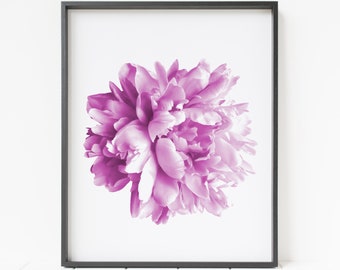 imprimé fleur, pivoine rose, décoration florale, décoration pivoine, art mural fleur
