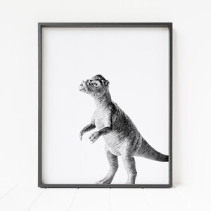 printable dinosaur wall art, dinosaur print, dinosaur decor, dinosaur nursery, pachycephalosaurus, dome head dinosaur