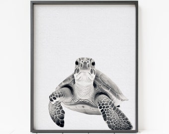 sea turtle portrait, sea turtle print, ocean animal decor, sea turtle wall art, black and white sea turtle