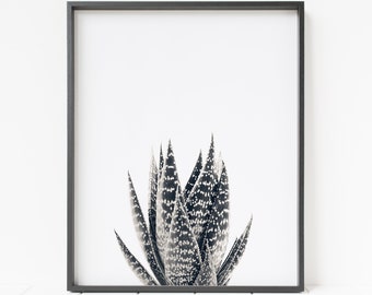 succulent print, succulent decor, botanical print, black and white succulent wall art, cactus wall art