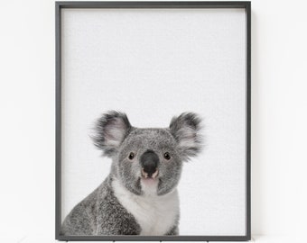 koala color print, PRINTABLE animal wall decor, koala decor, nursery wall art, children's room art