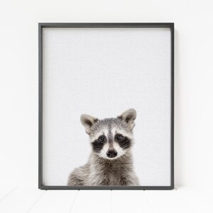 color raccoon print, woodland animal decor, woodland nursery art, printable raccoon wall art