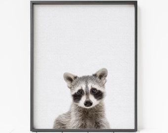 color raccoon print, woodland animal decor, woodland nursery art, printable raccoon wall art