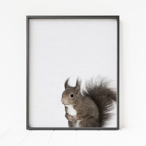 squirrel print, nursery animal art, woodland animal decor, printable squirrel