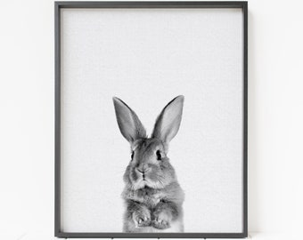 bunny rabbit print, PRINTABLE wall art, forest animal decor, woodland animal decor