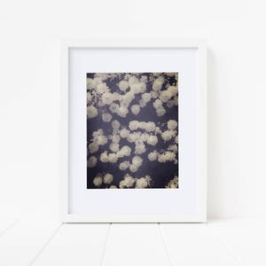 flowers print, black and white vintage floral decor, floral wall art, flower print image 3