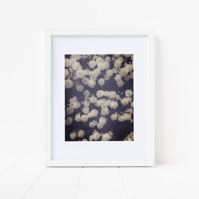 flowers print, black and white vintage floral decor, floral wall art, flower print image 3