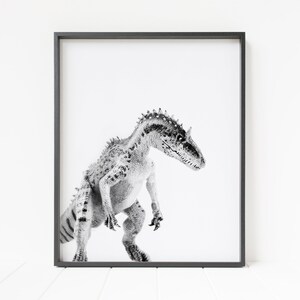 May include: Black and white photograph of a dinosaur with a spiky back and a long snout. The dinosaur is standing on a white background.