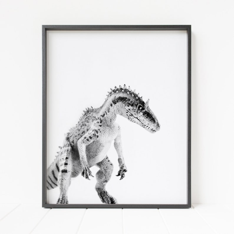 May include: Black and white photograph of a dinosaur with a spiky back and a long snout. The dinosaur is standing on a white background.