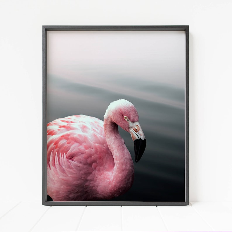 flamingo print, flamingo printable wall artwork, hen pictures, tropical decor, purple wall artwork, hefty printable poster, drinking water artwork, chook decor photo regarding Flamingo Printable called flamingo print, flamingo printable wall artwork, fowl images, tropical decor, purple wall artwork, major printable poster, h2o artwork, chook decor