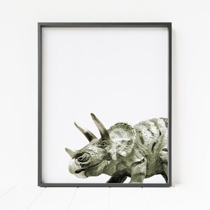 triceratops print, dinosaur print, dinosaur nursery decor, dinosaur wall art, dinosaur wall decor