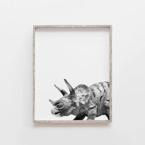 Puede incluir: Fotograf&iacute;a en blanco y negro de un dinosaurio Triceratops en un marco de madera simple.