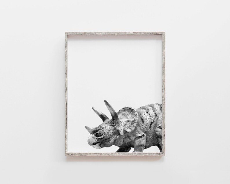 Puede incluir: Fotograf&iacute;a en blanco y negro de un dinosaurio Triceratops en un marco de madera simple.