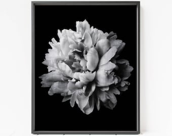 flower print, black and white floral wall art, peony print, flower decor