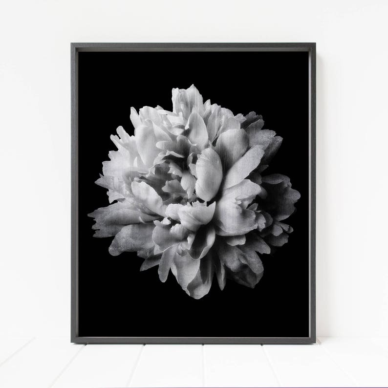 Flower Print Black and White Floral Wall Art Peony Print Etsy