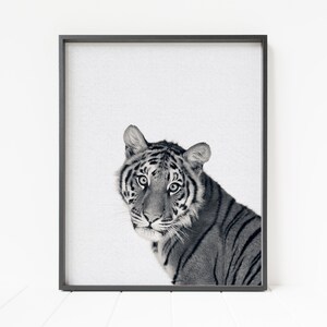 tiger print, tiger wall decor, large printable tiger poster, minimalist nursery decor